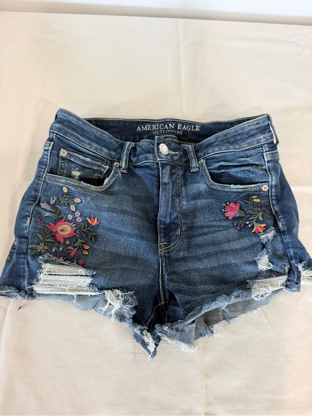 American Eagle Outfitters Blue Embroidered Distressed Denim Shorts